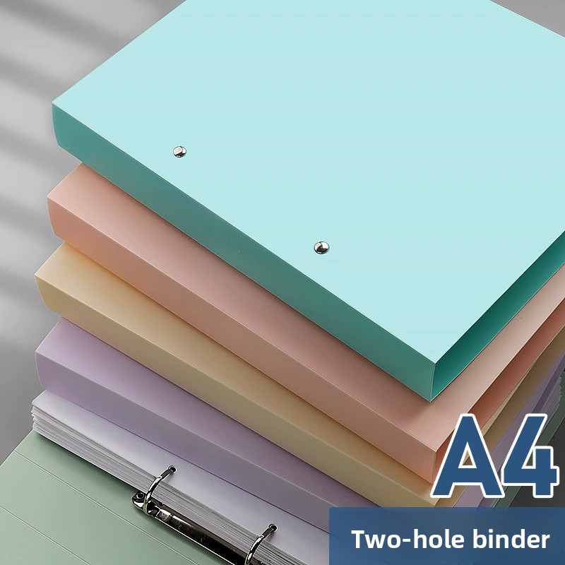 Binder Clip Assorted - 2 halkalı dosya klasörü, A4 boyutunda,